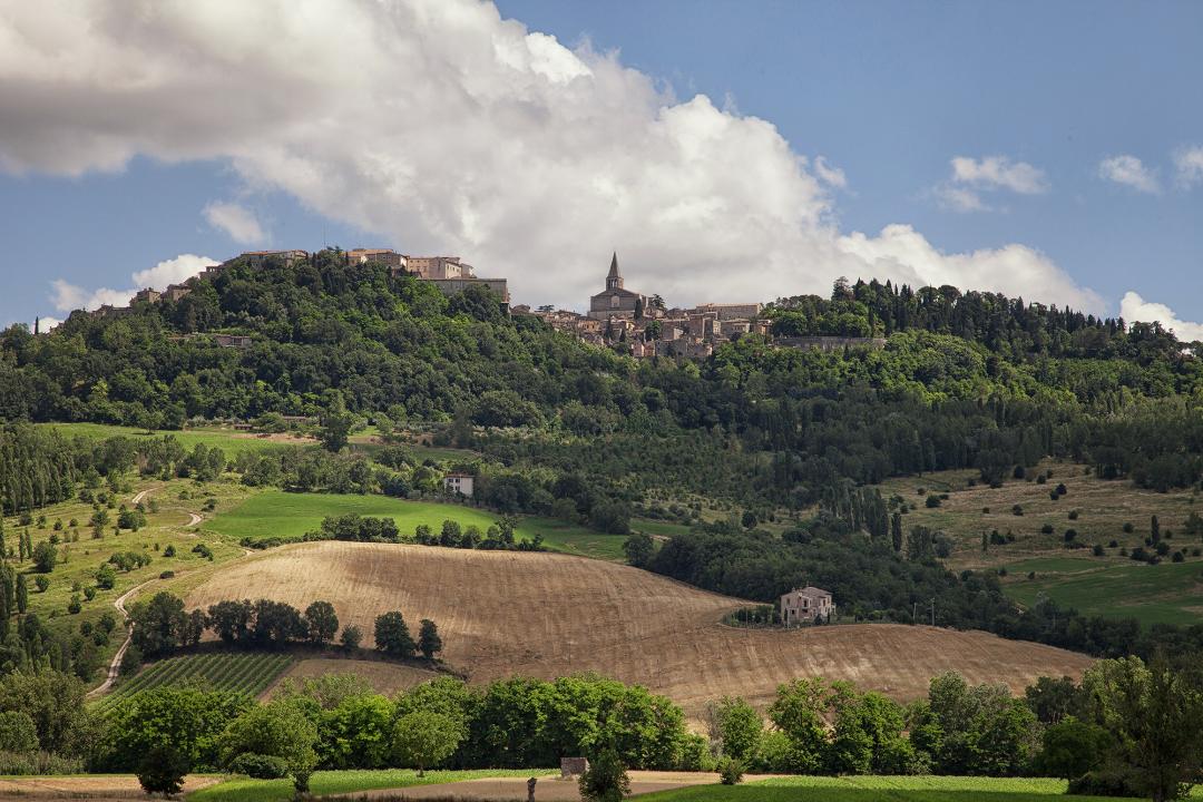 Grechetto di Todi
